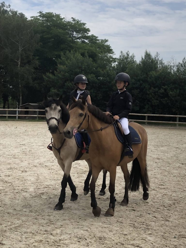 foskassur-protection-cavaliers-chevaux